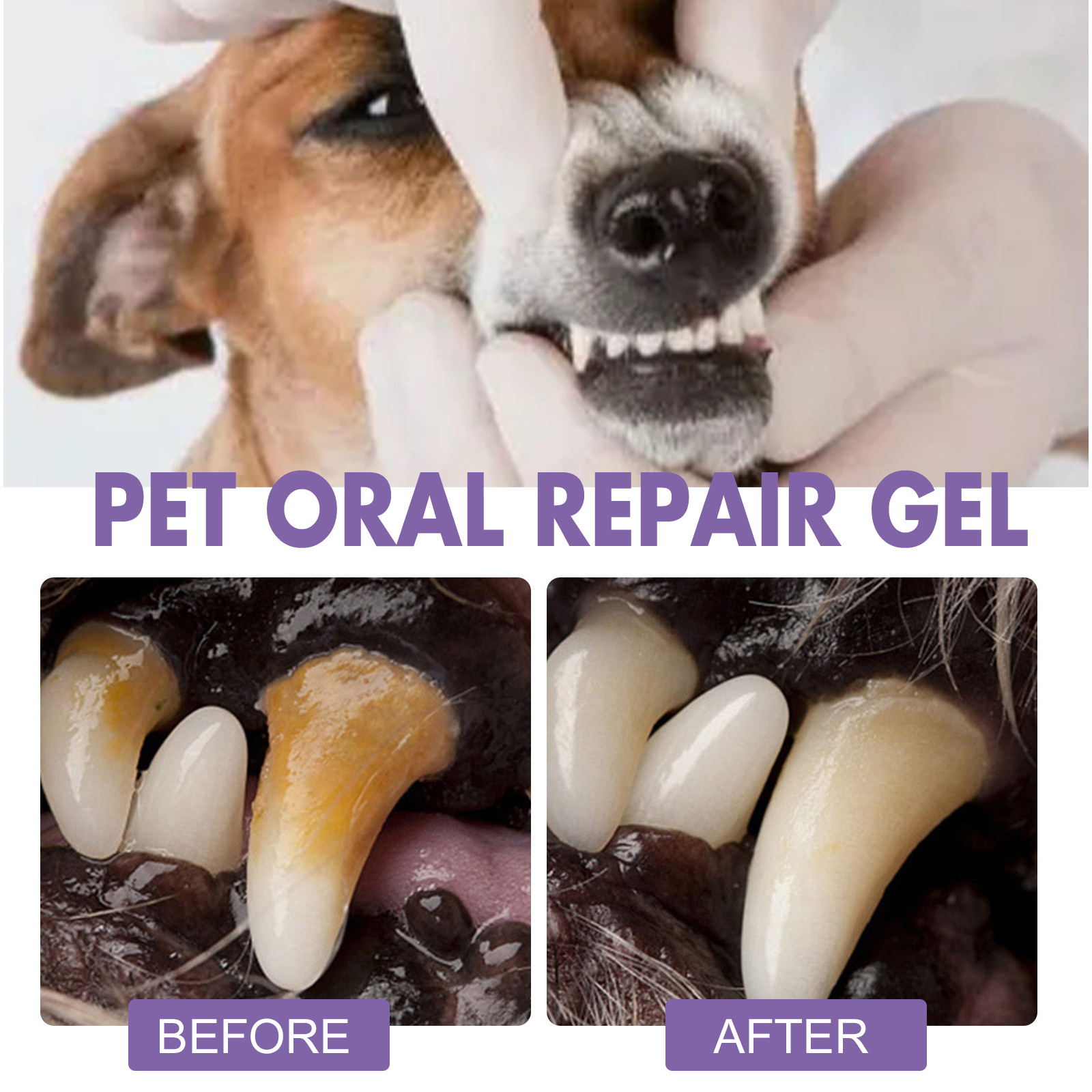Gel de reparación Oral para ma - Teeth Whitening Gels Used By Dentists reseña y precio